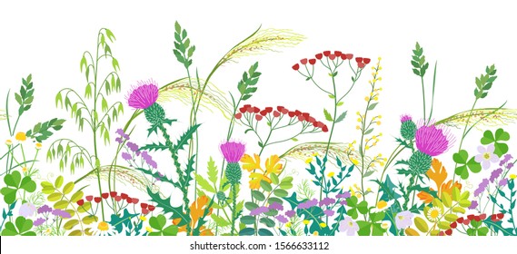 Seamless line horizontal border made with summer meadow plants. Grass and colorful wild flowers in row on white background.  Floral natural pattern vector flat illustration.