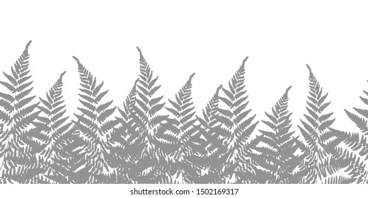 Seamless line horizontal pattern made with fern silhouette. Gray and white floral texture in row. Monochrome vector flat illustration.