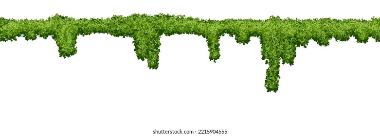 Seamless line swamp moss texture on white background. Top of fence or wall with climbing plants. Bush line. Forest lichen. Vector illustration