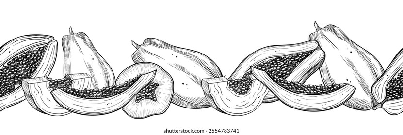 Seamless linear border with hand-drawn papaya slices and whole fruits in a monochrome style. Vector illustration of tropical and exotic fruit for cookbooks, culinary designs, and recipe frames.