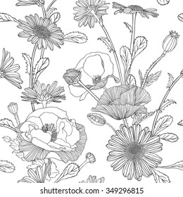 Seamless linear pattern - chamomile and poppy flowers