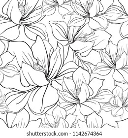 Seamless linear pattern with flowers. Magnolias on a white background. Vector illustration. Suitable for printing on fabric, clothing, textiles, wallpaper, paper.