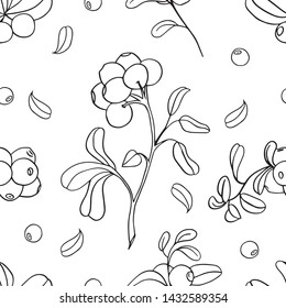  seamless lingonberry berries sketch doodle