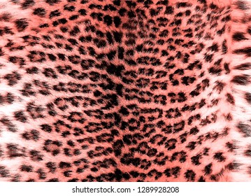 Seamless living coral leopard fur pattern vector background