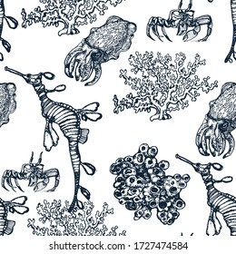 seamless marine pattern vector illustration hand drawing