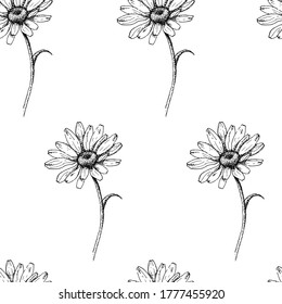 Seamless minimal botanical pattern with daisies. Printable hand draw background for textile pillow, shirt, toy, card. Vector Illustration