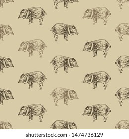 Seamless monochrome animal pattern with hand drawn sketches of Collared peccary. (Pecari tajacu).