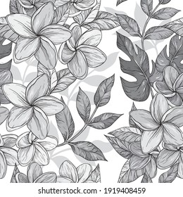 Seamless monochrome background of flowers frangipani, plumeria tropical flower, hand drawing illustration