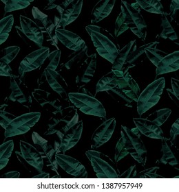 Seamless Monochrome Green Banana Leafs Black Background Vector Pattern