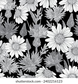 Seamless monochrome pattern with cornflowers and daisies. Wild flowers design. Vector illustration