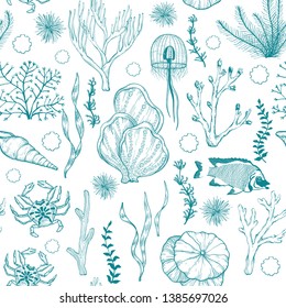 Seamless monochrome pattern with marine hand drawn corals and living organisms, vector illustration