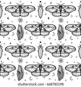 Seamless monochrome pattern: Tropical butterflies, larvae, symbols of the moon.  Black drawing on a white background. Vector illustration.