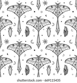 Seamless monochrome pattern: Tropical butterflies, larvae, symbols of the moon.  Black drawing on a white background. Vector illustration.