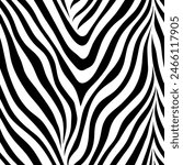 "Seamless Monochrome Zebra Fur Pattern - Stylish Black and White Animal Skin Print. This elegant, seamless monochrome zebra fur pattern in black and white is perfect for fabric, textile, design,