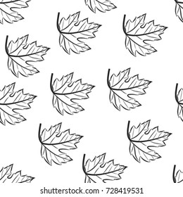 seamless mono-pattern of maple leaves on white background, vector illustration