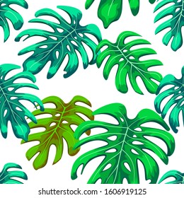 Seamless Monstera Leaves Pattern White Background Vector Illustration EPS 10.