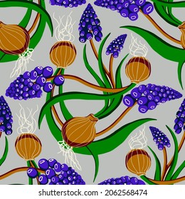 Seamless Muscari pattern with bulbs on a gray background vector