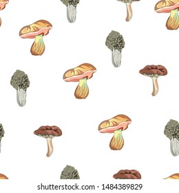 Seamless mushroom pattern. Drawn mushrooms on a white background. Toadstools, chanterelles, honey mushrooms. Vector illustration