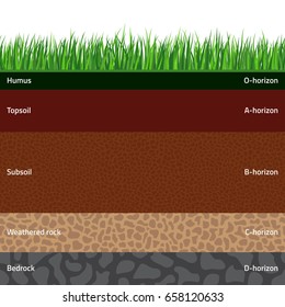 Seamless named soil layers with green grass on top. The stratum of organic, minerals, sand, clay, silt, parent rock and unweathered parent material.