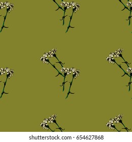 Seamless natural pattern. White carnation flowers on a green background