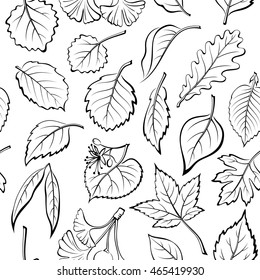 Seamless Nature Background with Black Pictogram Tree Leaves, Oak, Willow, Liquidambar, Hawthorn, Poplar, Aspen, Hazel, Ginkgo Biloba, Elm, Birch, Alder, Linden, Hornbeam, Chokeberry and Lilac. Vector