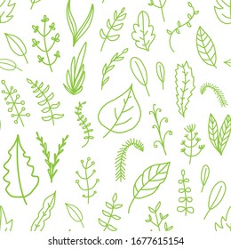 Seamless nature background with doodle plants. Hand drawn leaves pattern