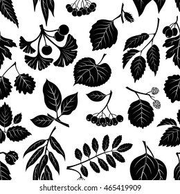 Seamless Nature Background with Pictogram Tree Leaves, Willow, Hawthorn, Poplar, Aspen, Ginkgo Biloba, Elm, Alder, Linden, Rowan, Chestnut, Black Chokeberry and Beech. Black on White. Vector