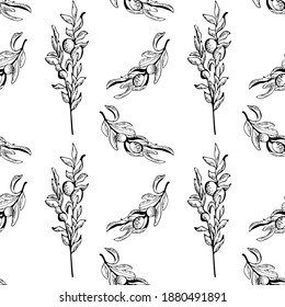 Seamless olive branch pattern. Hand drawn vector illustration. Olives on a branch vector illustrations. Seamless pattern background. hand draw cartoon Scandinavian nordic design style for fashion or i