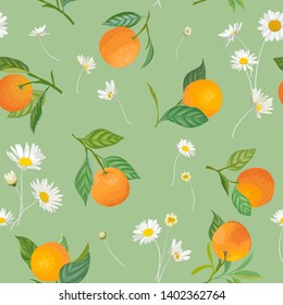 Patrón naranja sin foco con frutos tropicales, hojas, fondo de flores de margarita. Ilustración vectorial dibujada a mano en forma de acuarela para la cubierta de verano, papel tapiz tropical, textura vintage de cítricos