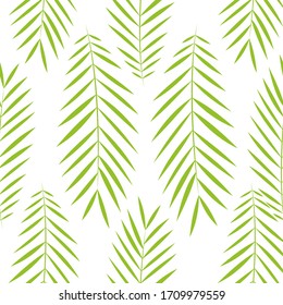 Decoración ornamental impecable con hojas tropicales de palma aisladas en fondo blanco. Vector eps10 ilustración de fondo minimalista en estilo plano