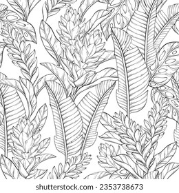 Seamless outline pattern background with hand drawn alpinia purpurata exotic red ginger flower and tropical plants. Vector illustration