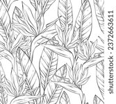 Seamless outline pattern with tropical bird of paradise flowers and leaves. Vector illustration.