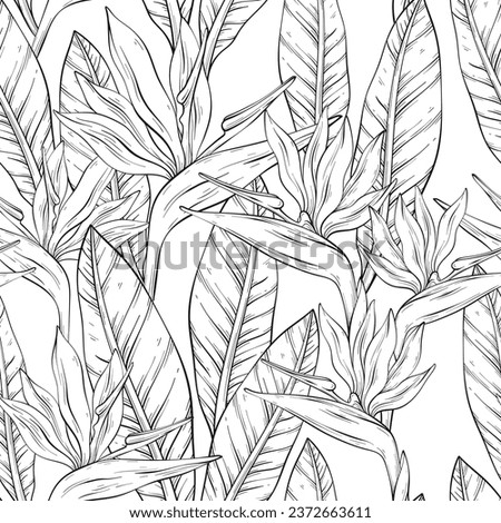 Seamless outline pattern with tropical bird of paradise flowers and leaves. Vector illustration.