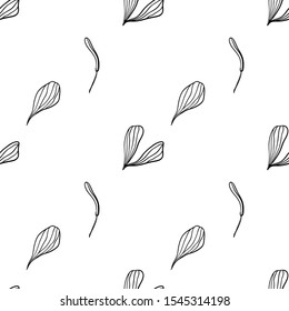 Seamless outline plantain leaf pattern. Stylish line floral sketch. Abstract hand drawn herbal illustration. Black lines on white background.