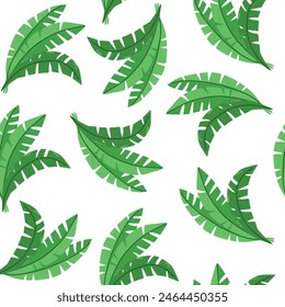 Seamless Palm jungle leaves  vector pattern background texture
