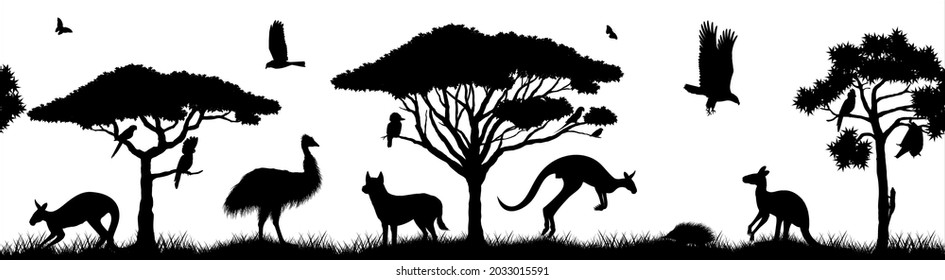 Nahtloses Panorama australischer Ebenen. Akazienbäume und Eukalyptusbäume. Tierwelt Australiens: Cockatoo, dingo, echidna, emu, fliegender Fuchs, Galah, Adler, Leguana und Zebra-Finte