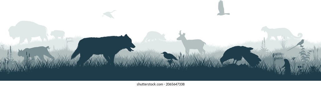 Seamless panorama of the prarie with grey wolf, pronghorn, kite, bobcat, fox,  western meadowlark , heron, scissor-tailed Flycatcher, Prairie dog and brown zubr buffalo bison