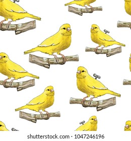 Seamless patern of clockwork yellow canary by watercolor and ink on white background