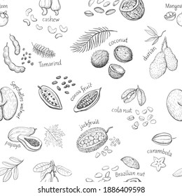 Seamless patern of exotic nuts and fruits. Sketches on a white background