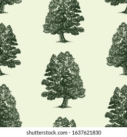 Seamless patern of sketches deciduous tree in summer