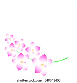Seamless patten abstract simple pink orchid  vector illustration esp 10 white background isolate