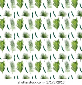 Seamless Pattern. 3D realistic tropical exotic leaves. Collection palm leaves. Summer leaf. Vector illustration.