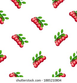 Seamless Pattern Abstract Elements Red Cranberry Food Vector Design Style Background Illustration
