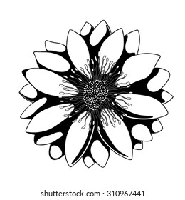 26++ Abstract Flower Black And White Vector PNG