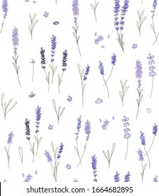 Seamless Pattern with abstract springs of lavander, flowers and leaves