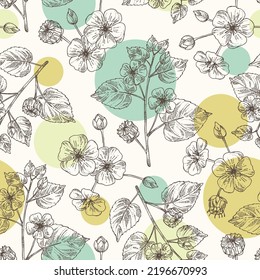 Seamless pattern with abutilon indicum: abutilon indicum plant, leaves and atibala flowers. Atibala. Cosmetic, perfumery and medical plant. Vector hand drawn illustration
