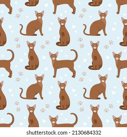 Patrón sin foco con gatos abisinos. Diseño de caricaturas. Ilustración vectorial.
