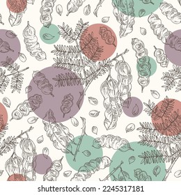 Seamless pattern with acacia concinna: shikakai plant, leaves and acacia concinna bean. Shikakai. Cosmetic, perfumery and medical plant. Vector hand drawn illustration