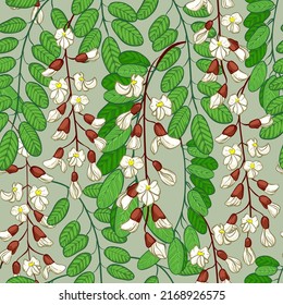 Seamless pattern with acacia flowers and leaves, vector background