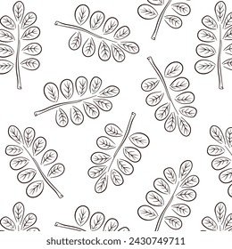 Seamless pattern with acacia leaf in line art style. Design for wallpaper, textile, web page background, spring greeting cards. Vector illustration on a white background.